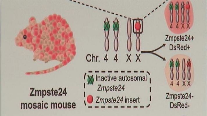 Panorama Regional - Panorama Regional 2 - 09/12/14