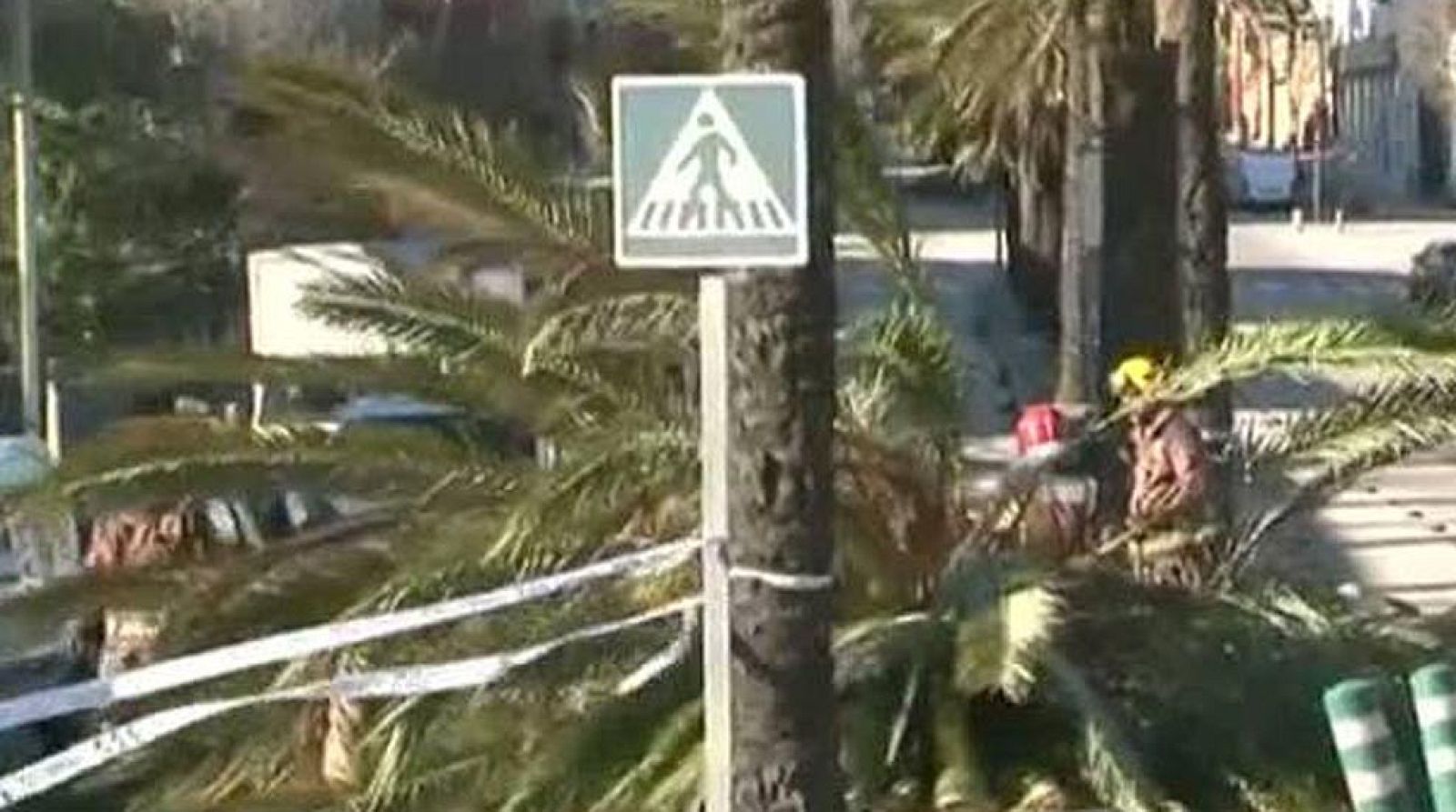 Siete mil usuarios siguen sin luz por el temporal de fuerte viento en Barcelona y Girona - Informativo 24h | Ver