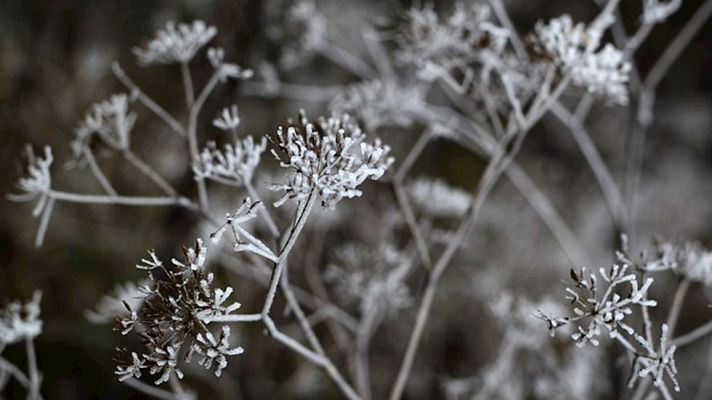 Informativo de Madrid - El tiempo en la Comunidad de Madrid - 10/12/14