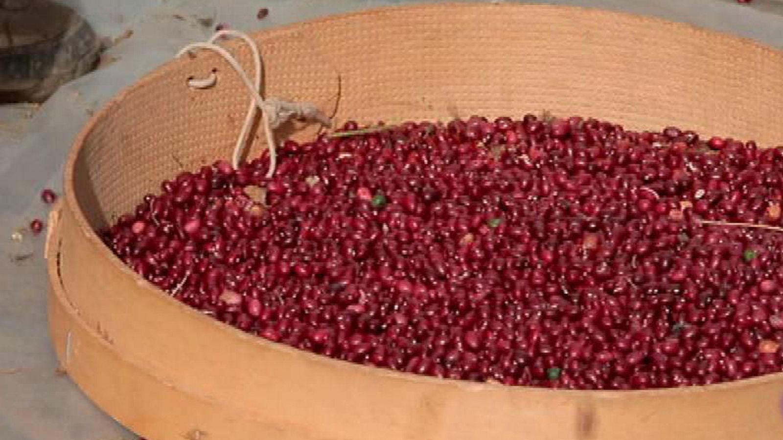 Alubia roja de Anguiano