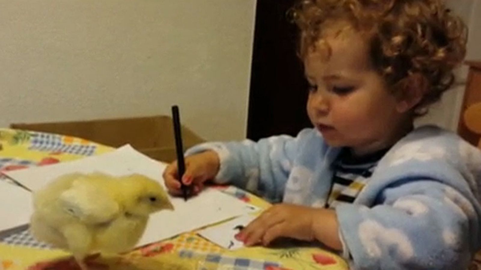 Youtube cierra 2014 con los vídeos más vistos