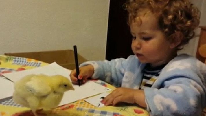 Telediario 1 - Youtube cierra 2014 con los vídeos más vistos