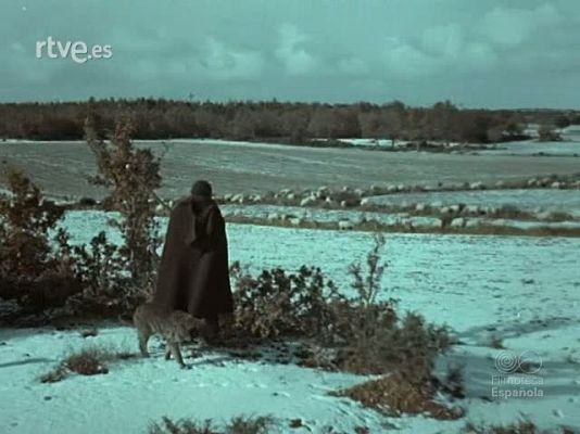 Documentales Color - LA FIRA DE SANTA LLUCIA