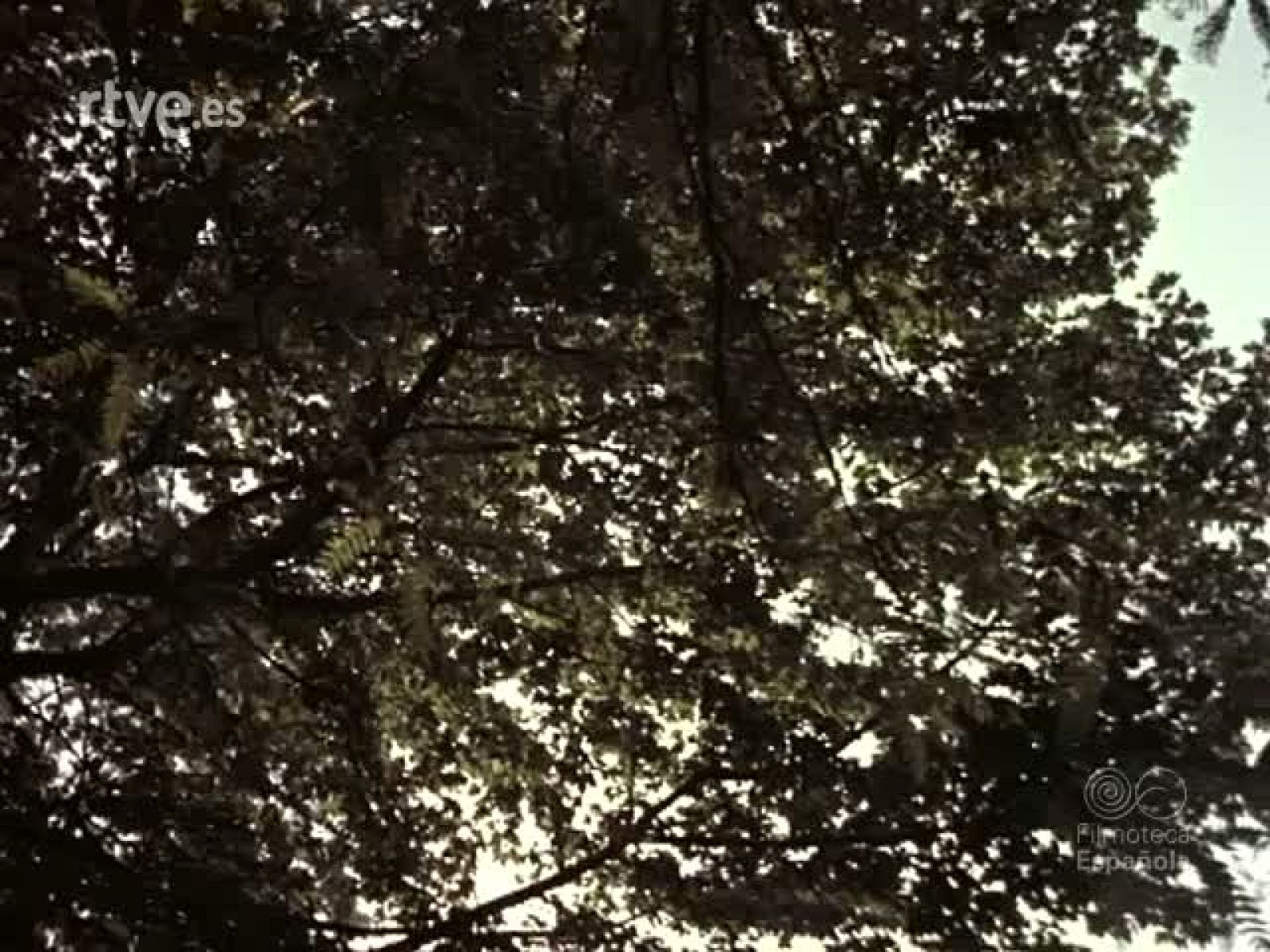 GOYA - Documentales Color | Ver