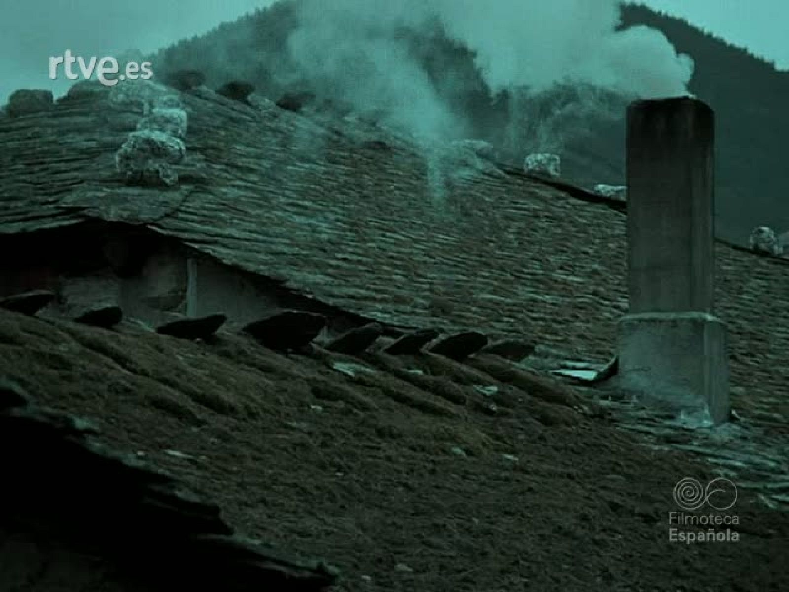 EL HUMO QUE MANTIENE LAS CASAS - Documentales Color | Ver