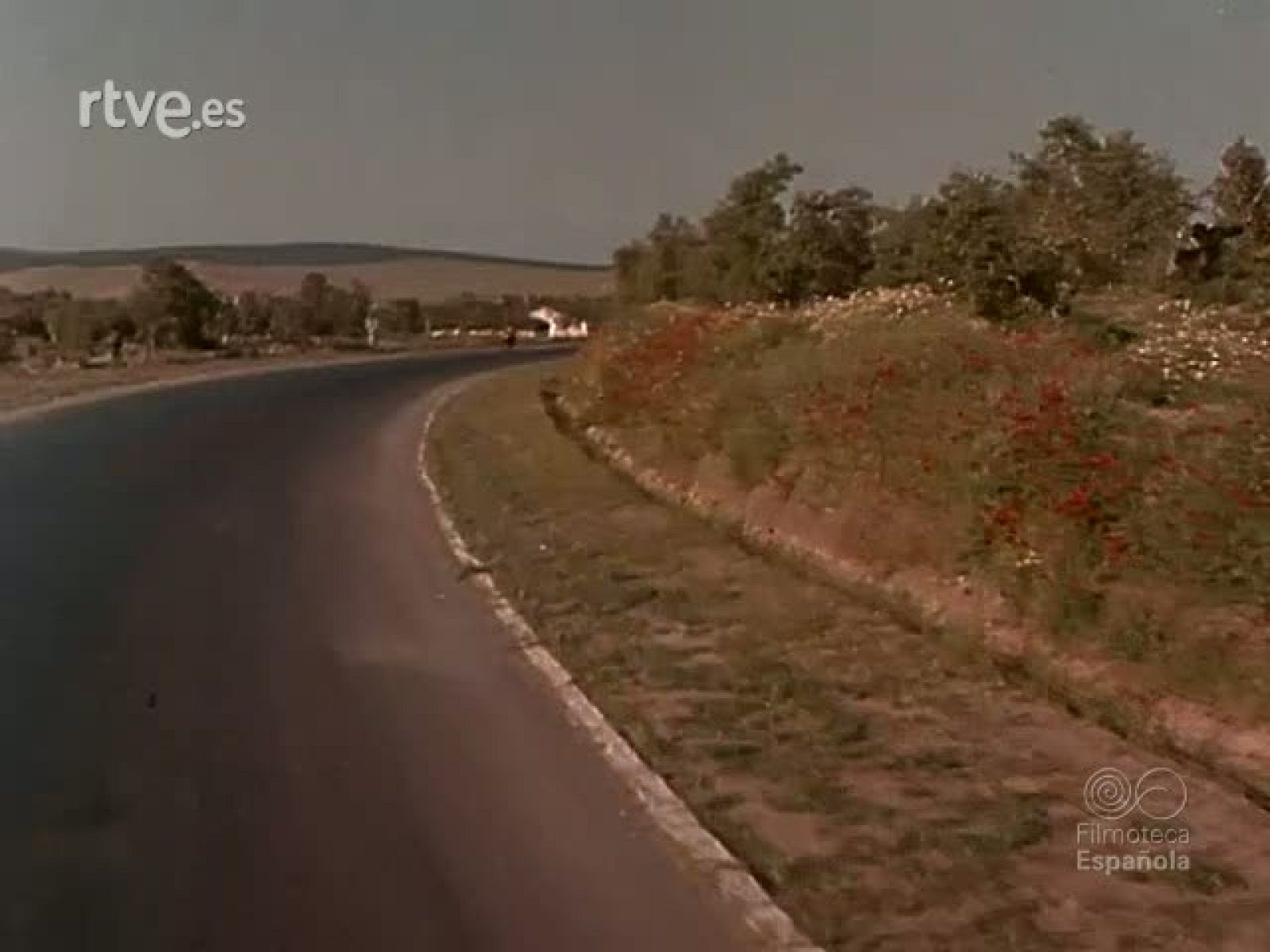 JARDINES DE ESPAÑA - Documentales Color | Ver