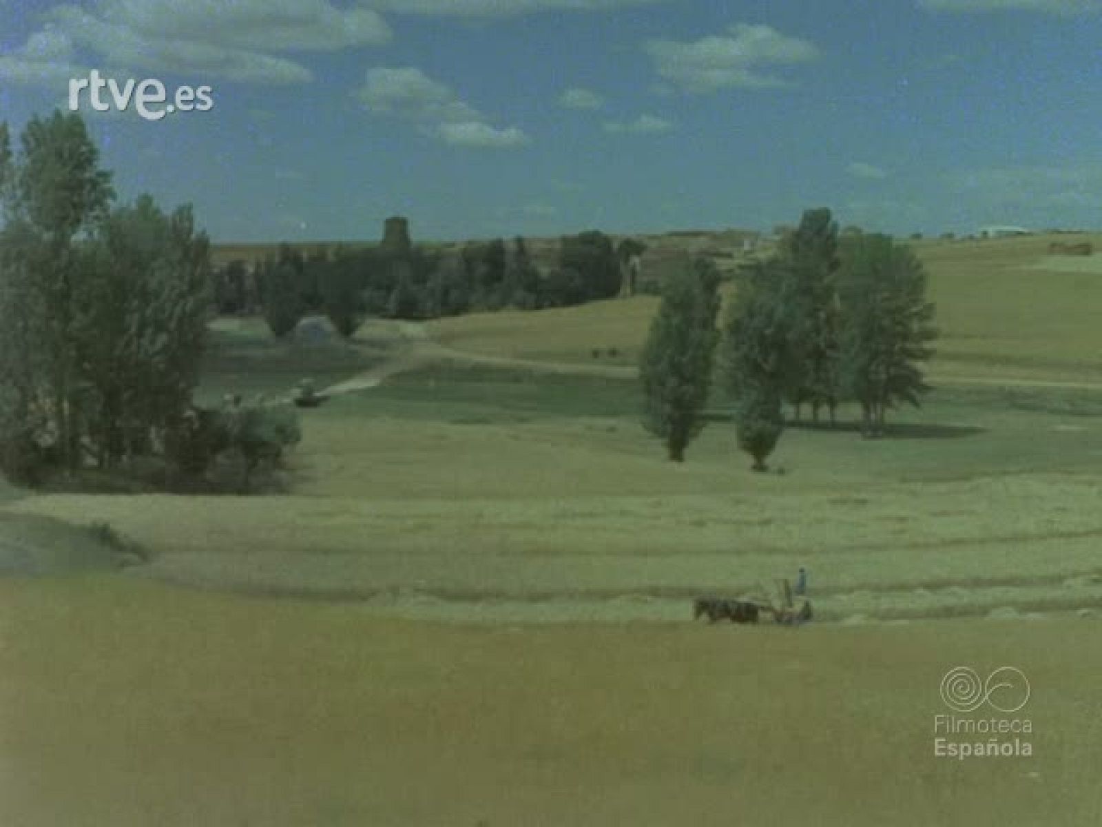 LEON - Documentales Color | Ver