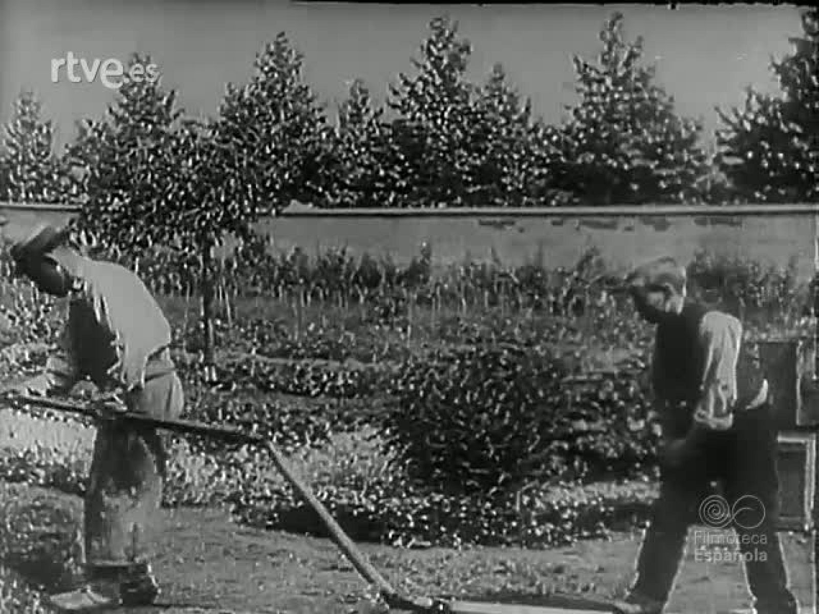 LECCIONES DE CINE : SONORIZACION - Documentales Color | Ver