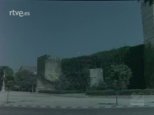 Documentales Color - JEREZ Y SU VENDIMIA : VINO CABALLO Y TORO