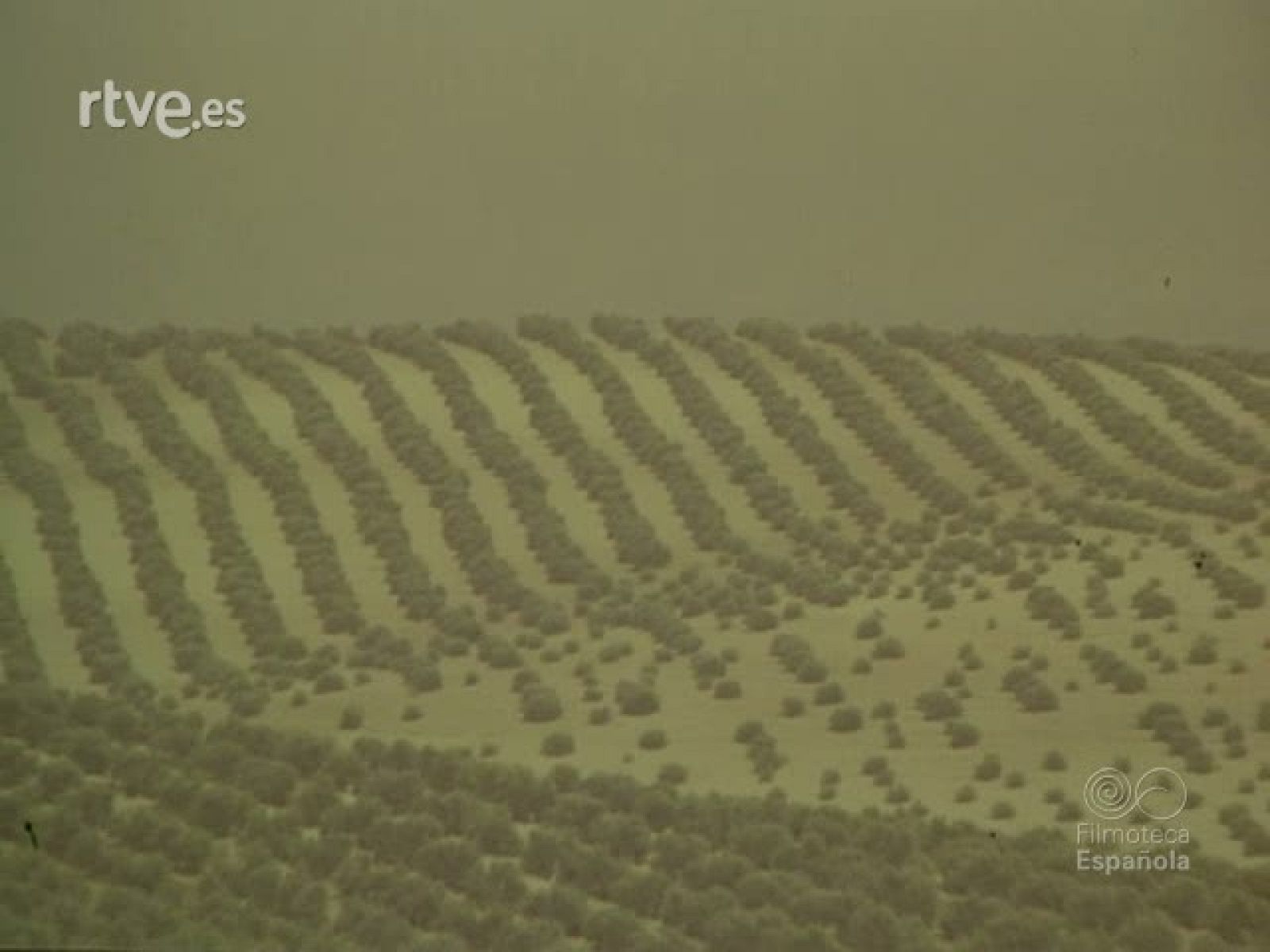 LUZ Y SOL DE ANDALUCIA - Documentales Color | Ver