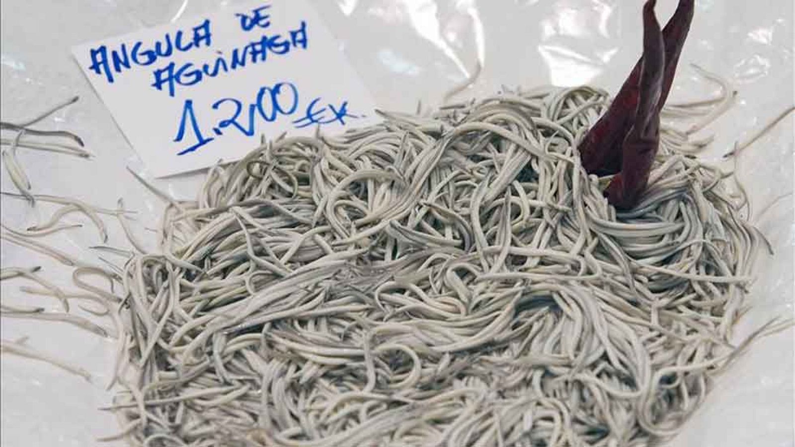 Las angulas de temporada se disparan de precio