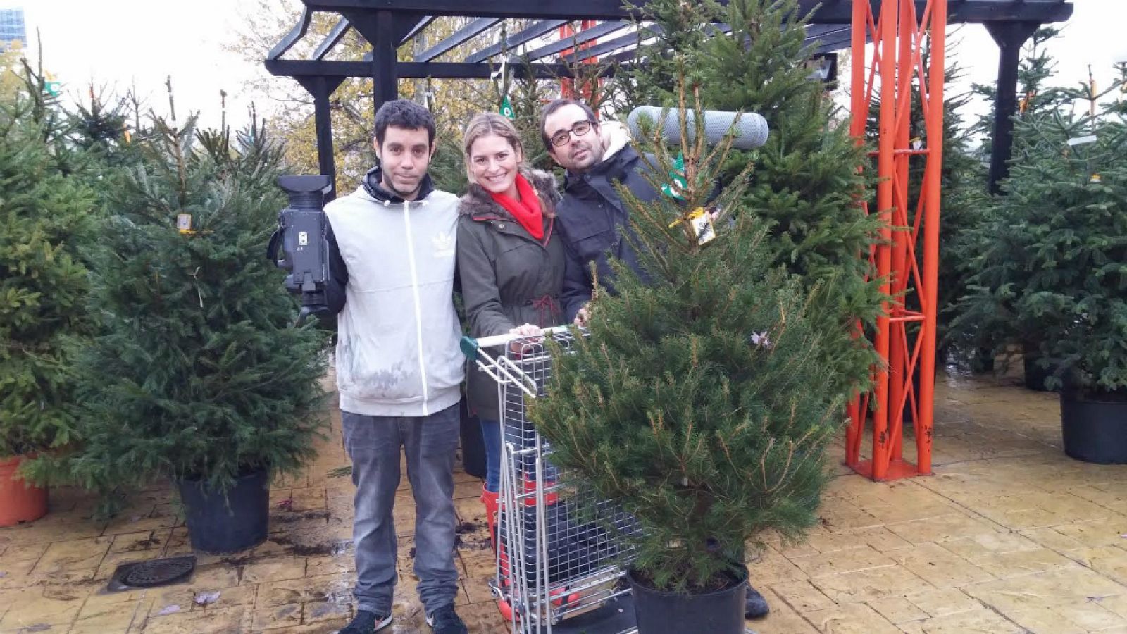El árbol de Navidad, ¿natural o artificial?