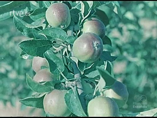 Documentales Color - JARDINES CORCELES Y ARTE