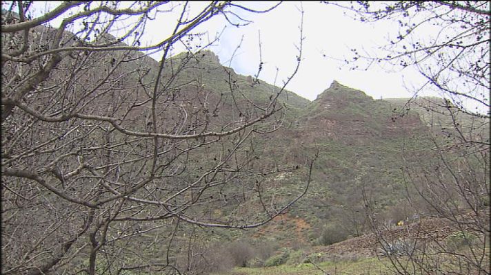 Telecanarias - Telecanarias - 14/12/14