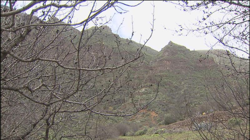 Telecanarias - 14/12/14 | Ver