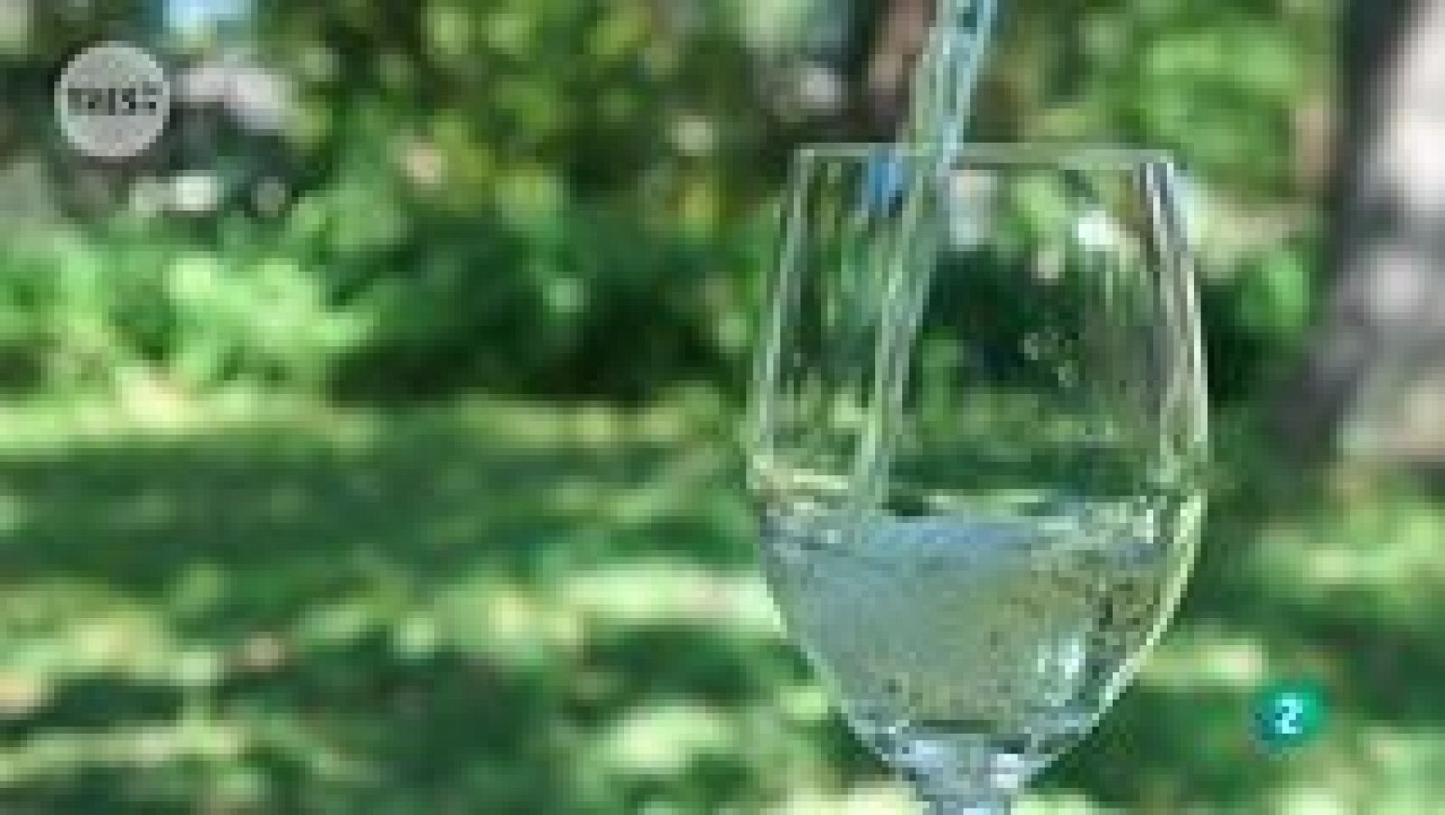 tres14 - Realidad - Ver ahora