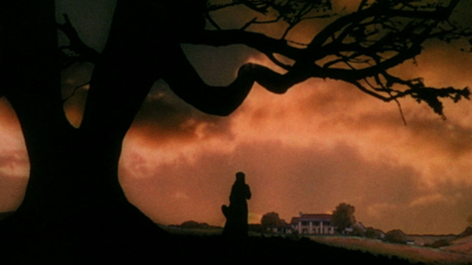 Se cumplen 75 años del estreno de la película "Lo que el viento se llevó"
