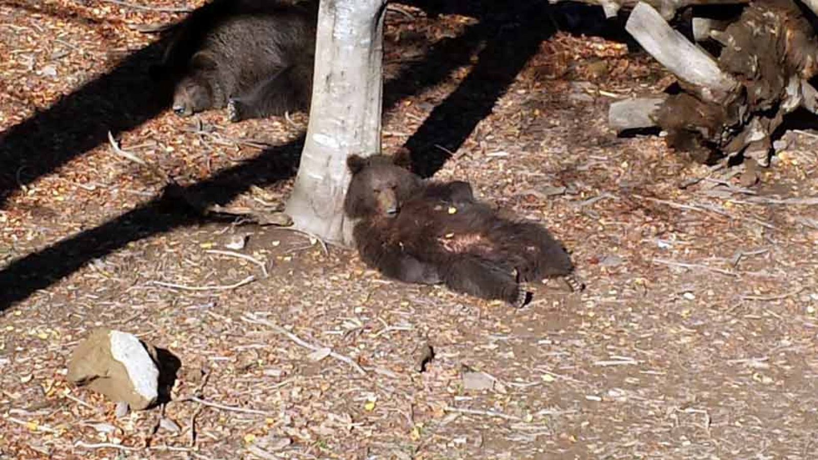 Un parque natural en el corazón de un valle