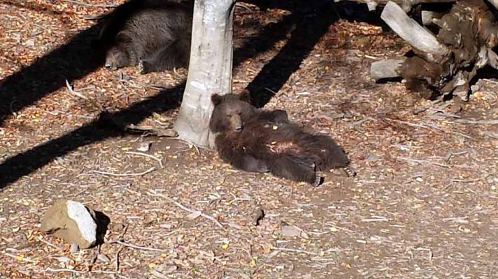 Aquí la Tierra - Un parque natural en el corazón de un valle