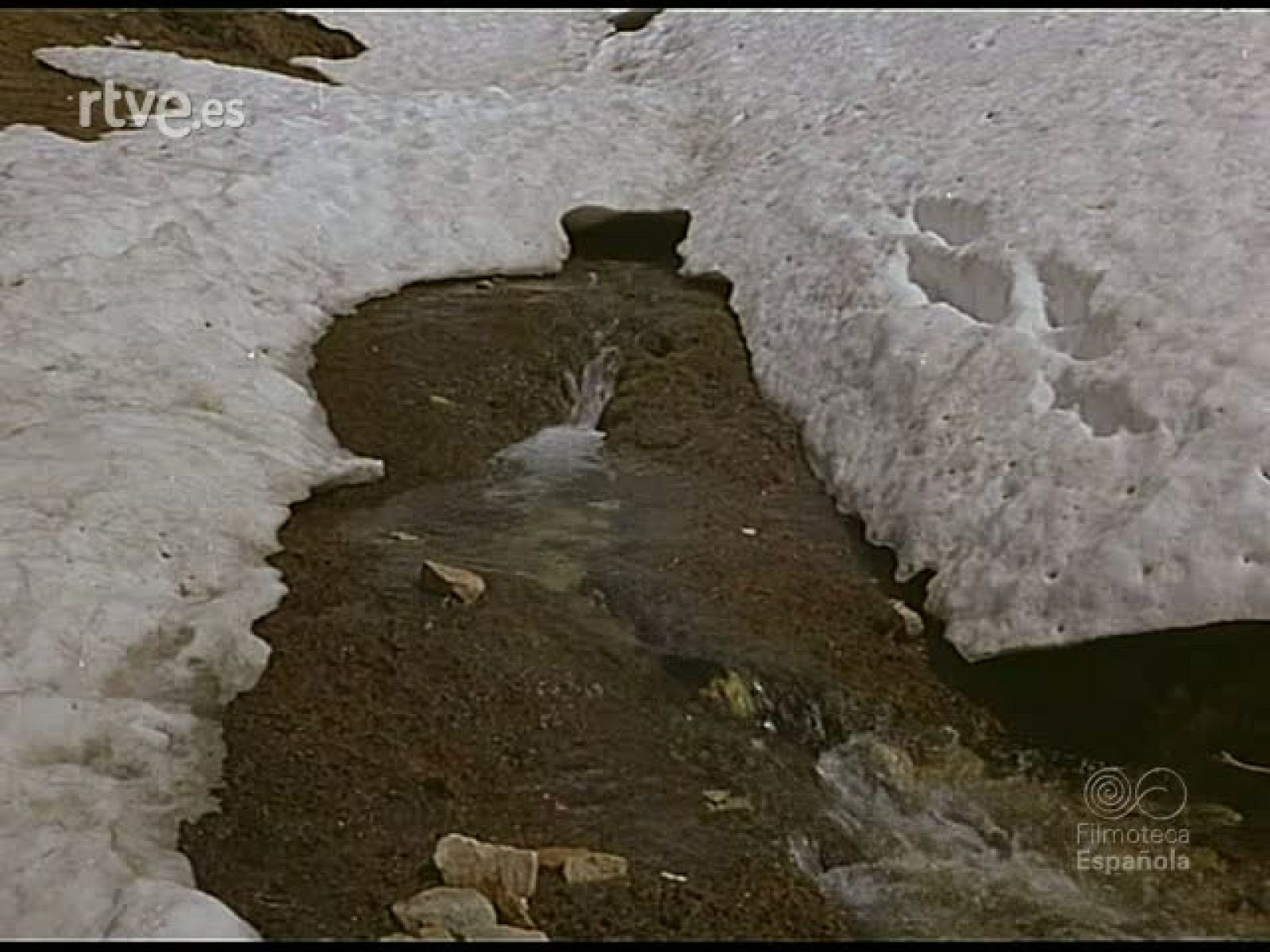 PIEDRA Y AGUA - Documentales Color | Ver