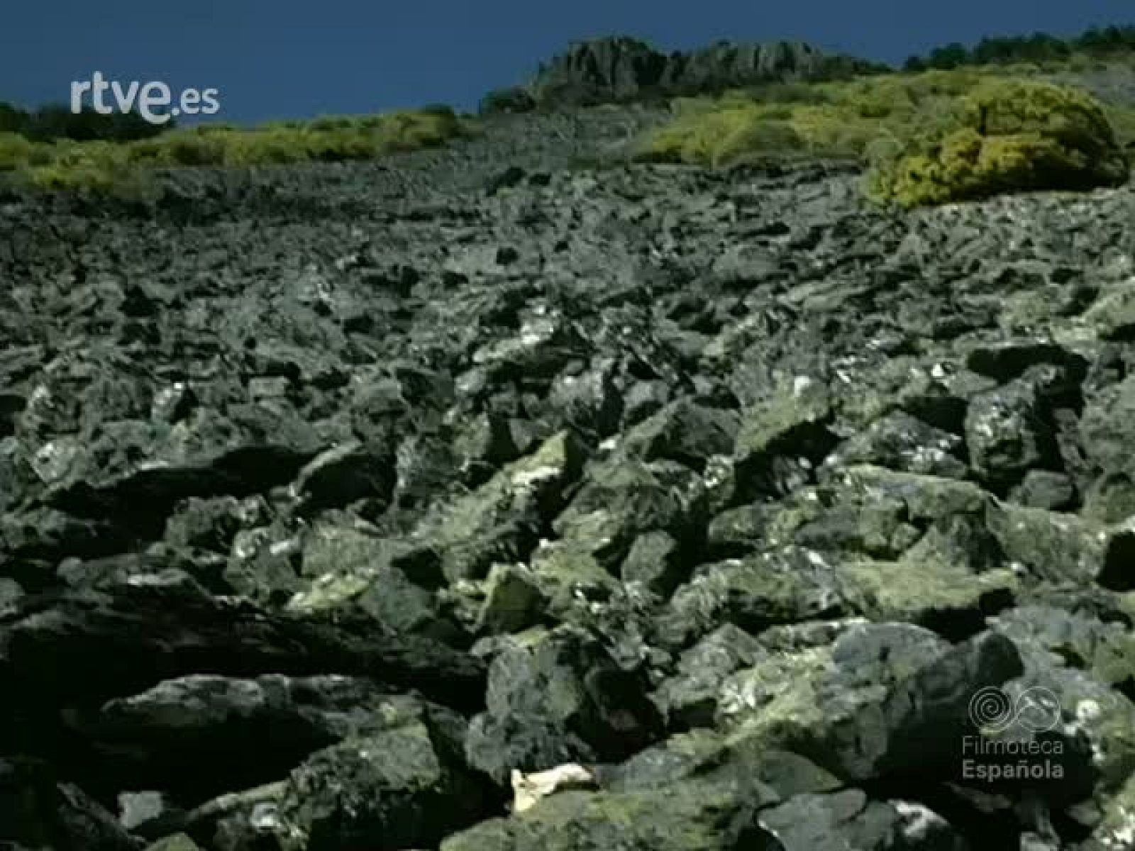 SIERRAS DE SALAMANCA - Documentales Color | Ver