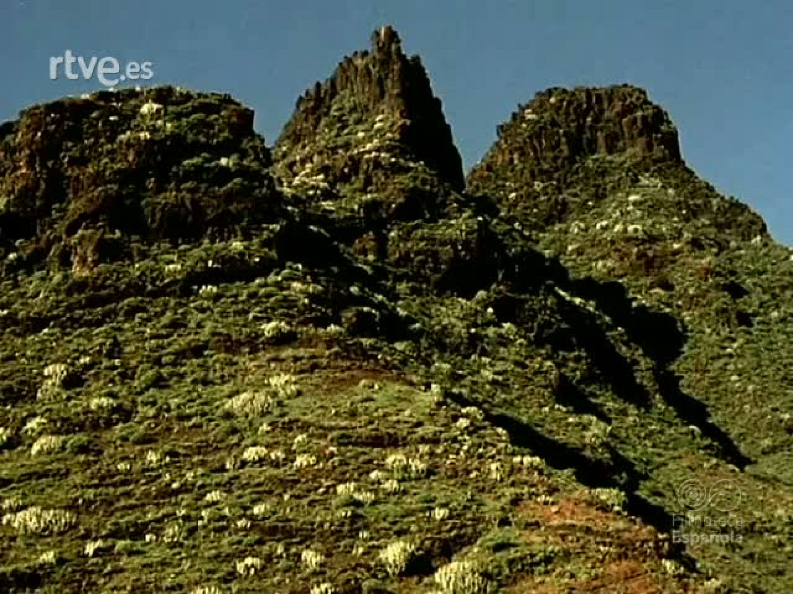 TENERIFE Y SUS BELLEZAS - Documentales Color | Ver