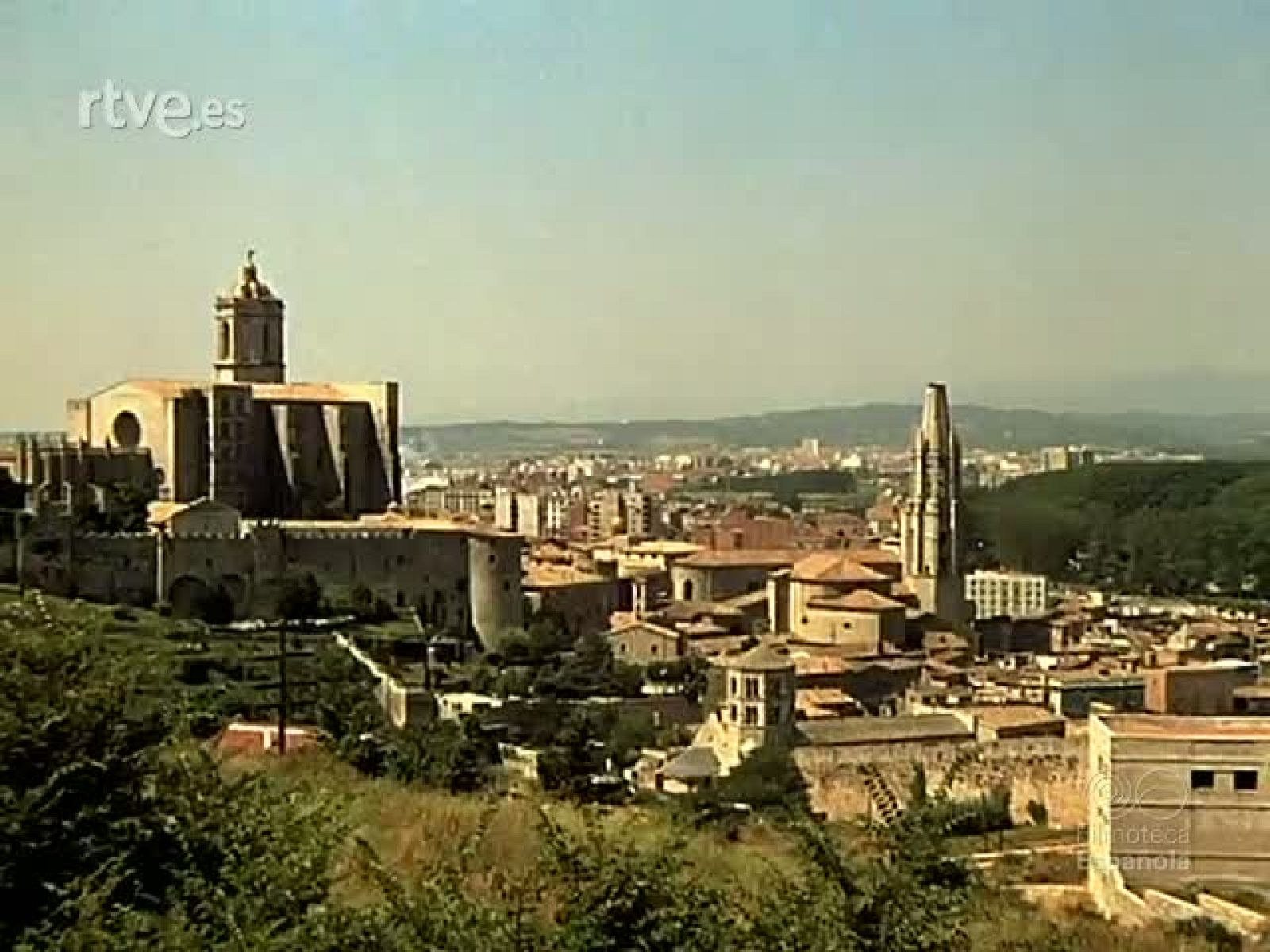 EL TAPIZ DE LA CREACION - Documentales Color | Ver