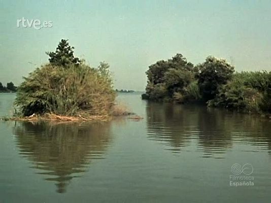 Documentales Color - TORRECIUDAD