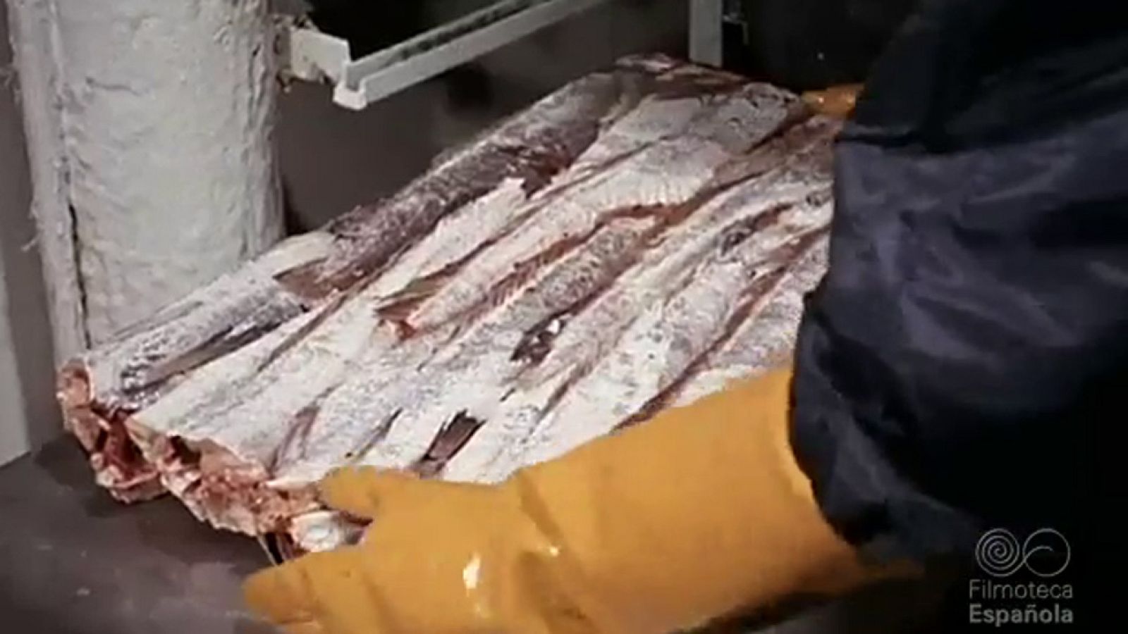 ULTRACONGELADOS - Documentales Color | Ver