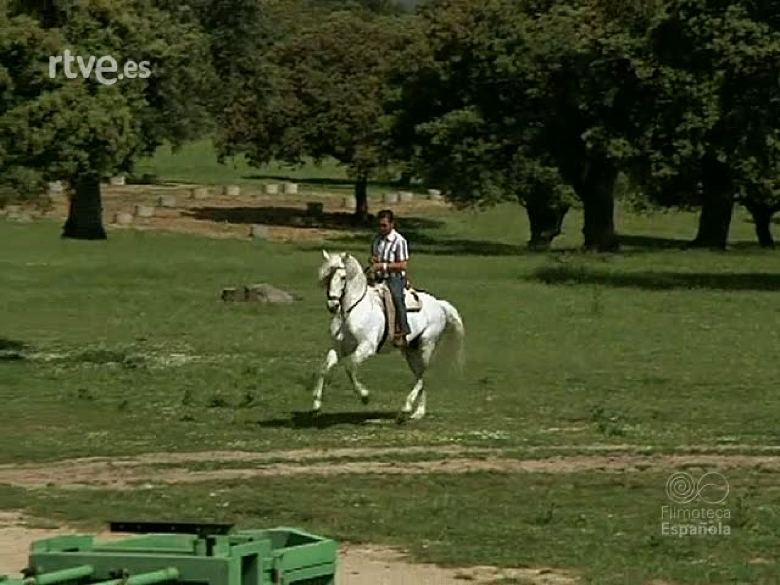 TOREROS : PACO CAMINO - Documentales Color | Ver