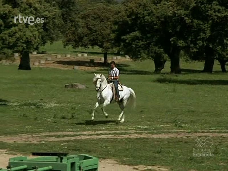 TOREROS : PACO CAMINO