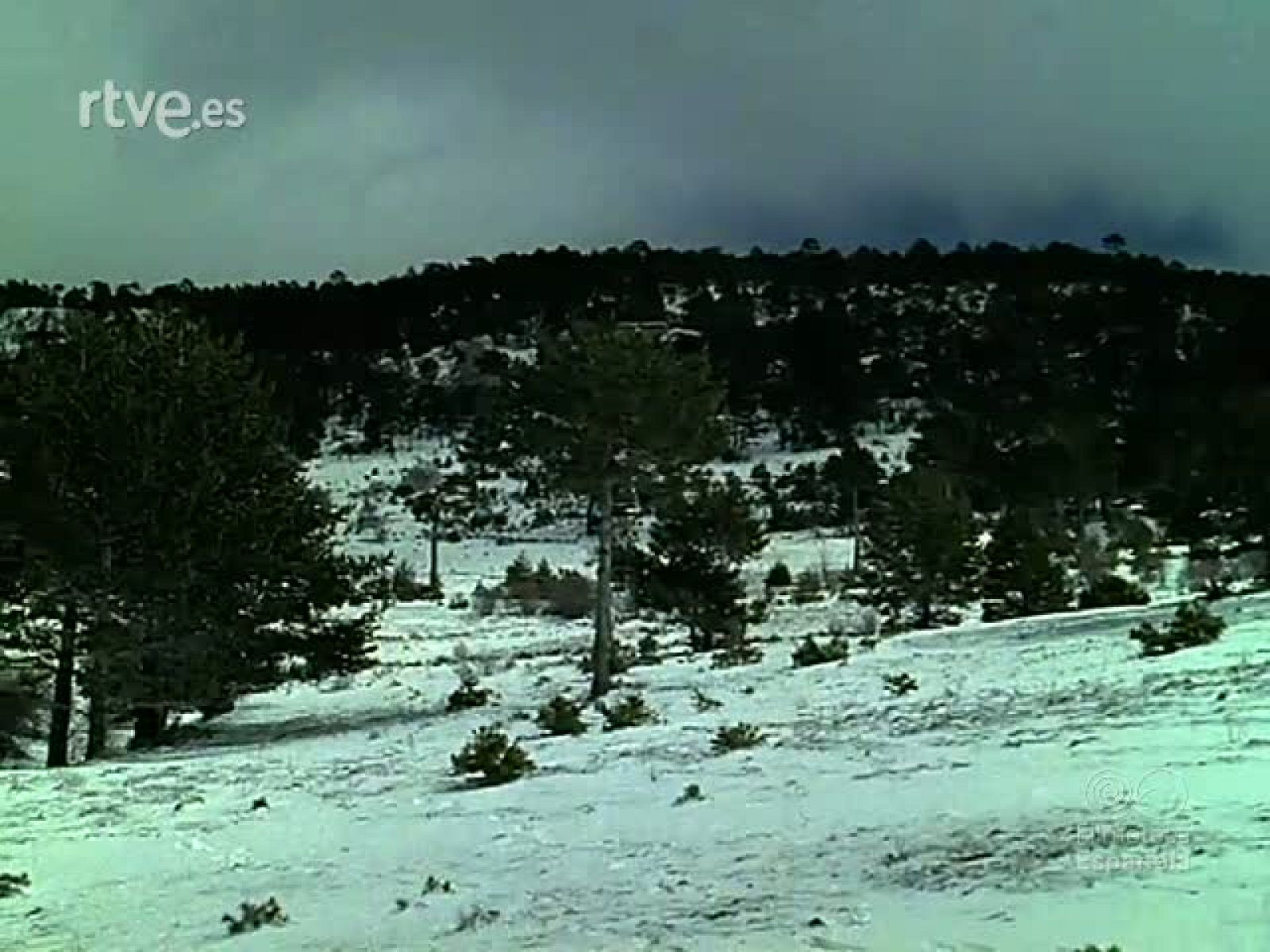 EL TURIA - Documentales Color | Ver