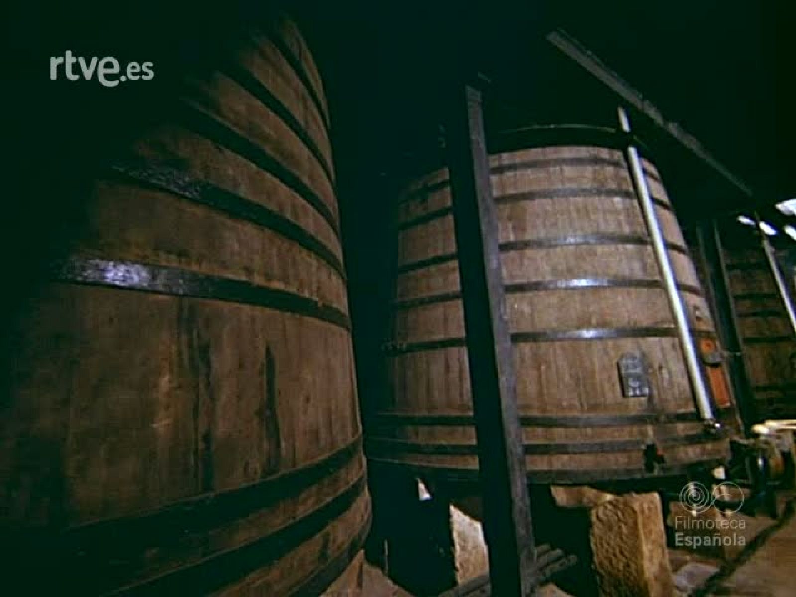 BODEGAS FRANCO ESPAÑOLAS - Documentales Color | Ver