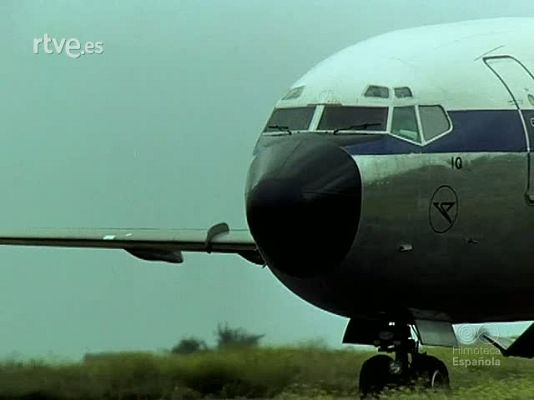Documentales Color - TABAIBA: NACIDA DE LAS ROCAS