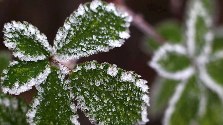 Informativo de Madrid - El tiempo en la Comunidad de Madrid - 18/12/14