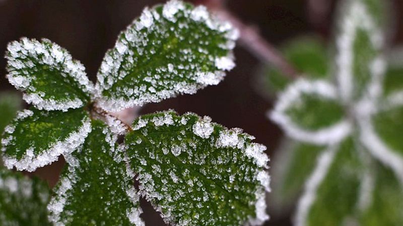 El tiempo en la Comunidad de Madrid - 18/12/14