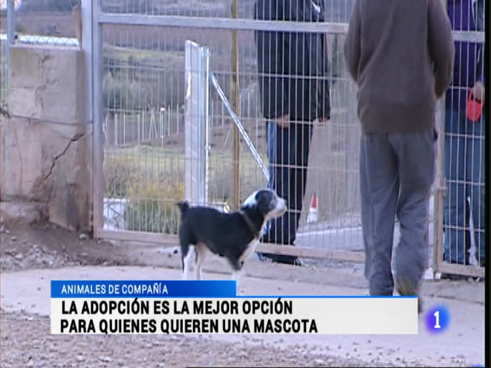 Informativo Telerioja - 18/12/14 | Ver