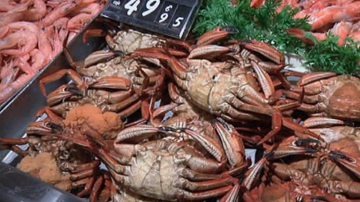 Aquí la Tierra - Alimentos estrella para las fiestas