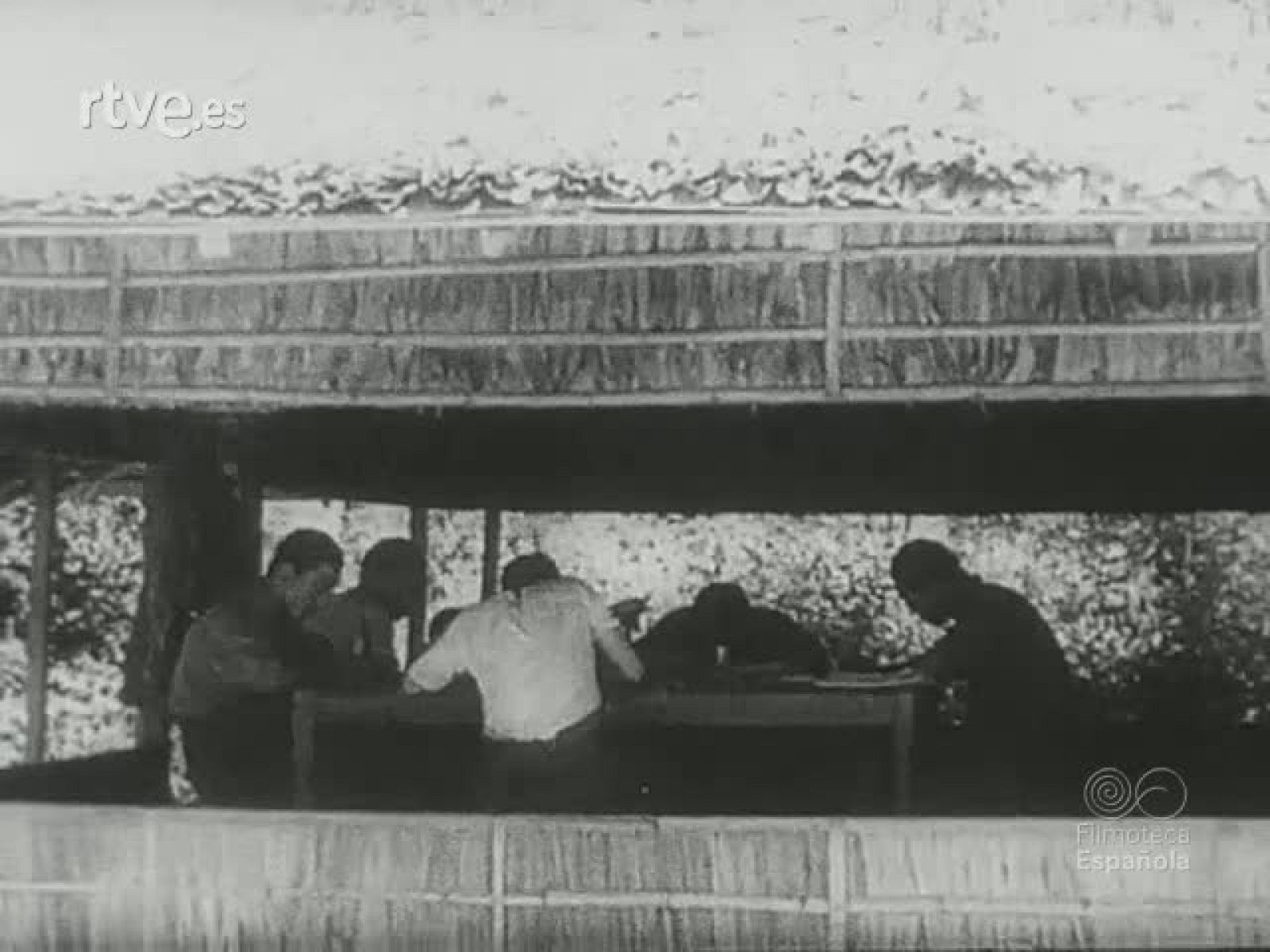 PARACAIDISTAS NIPPONICOS CONTRA PALEMBANG | Ver