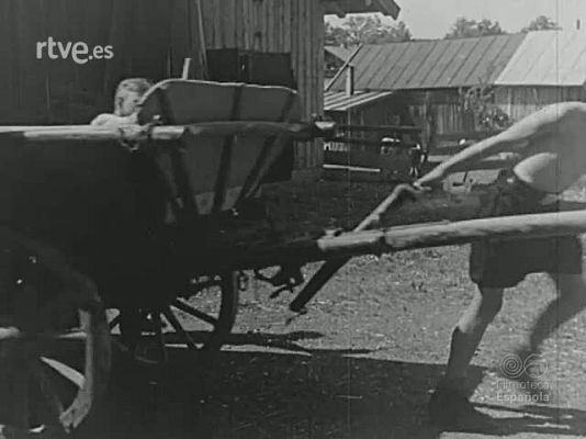 Archivo Histórico - PANORAMA N 01