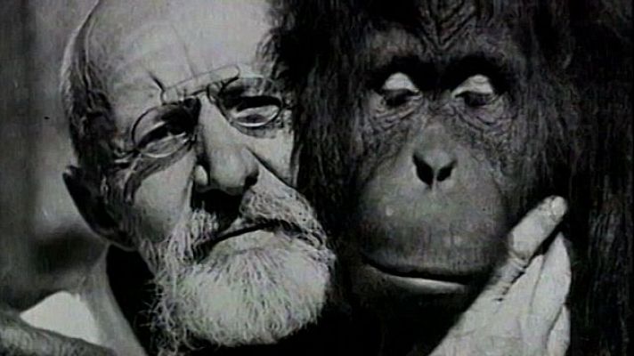 Universo UNED - Ignace Meyerson