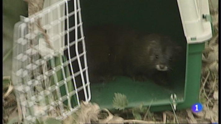 Informativo Telerioja - Informativo Telerioja 2 - 19/12/14