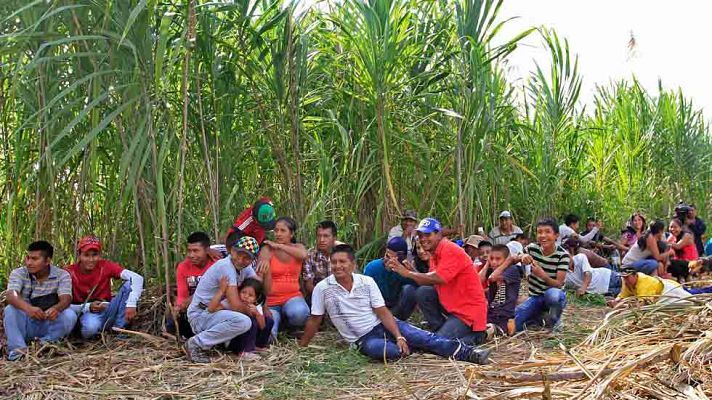 Telediario 1 - La guerrilla de las FARC ha iniciado una tregua unilateral