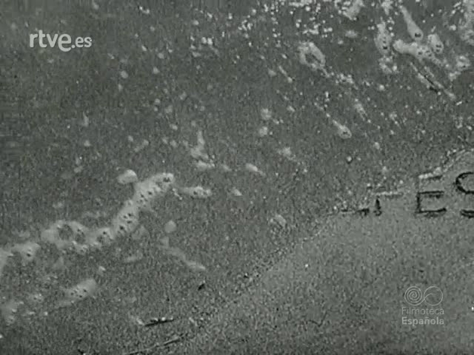 FLUGZEUG IN SEENOT (AVIONES DE RESCATE). | Ver