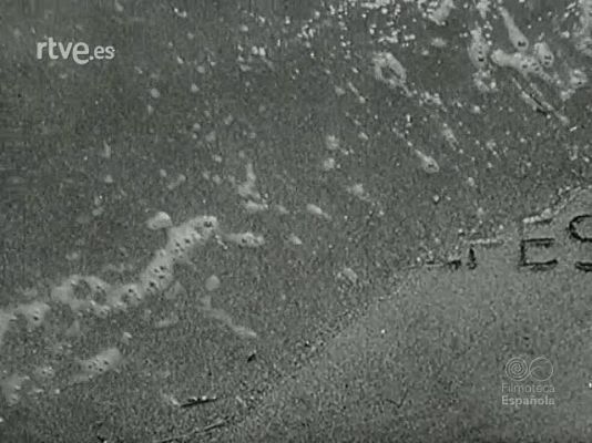 Archivo Histórico - FLUGZEUG IN SEENOT (AVIONES DE RESCATE).