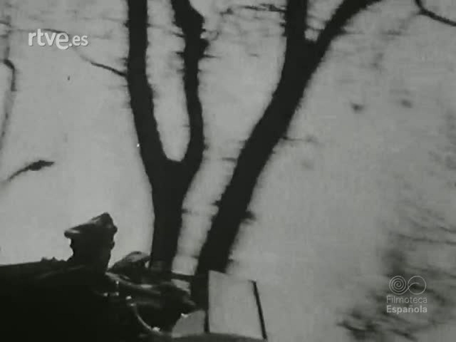 AVANCES DEL EJERCITO ALEMAN EN ITALIA DURANTE LA SEGUNDA GUERRA MUNDIAL. | Ver