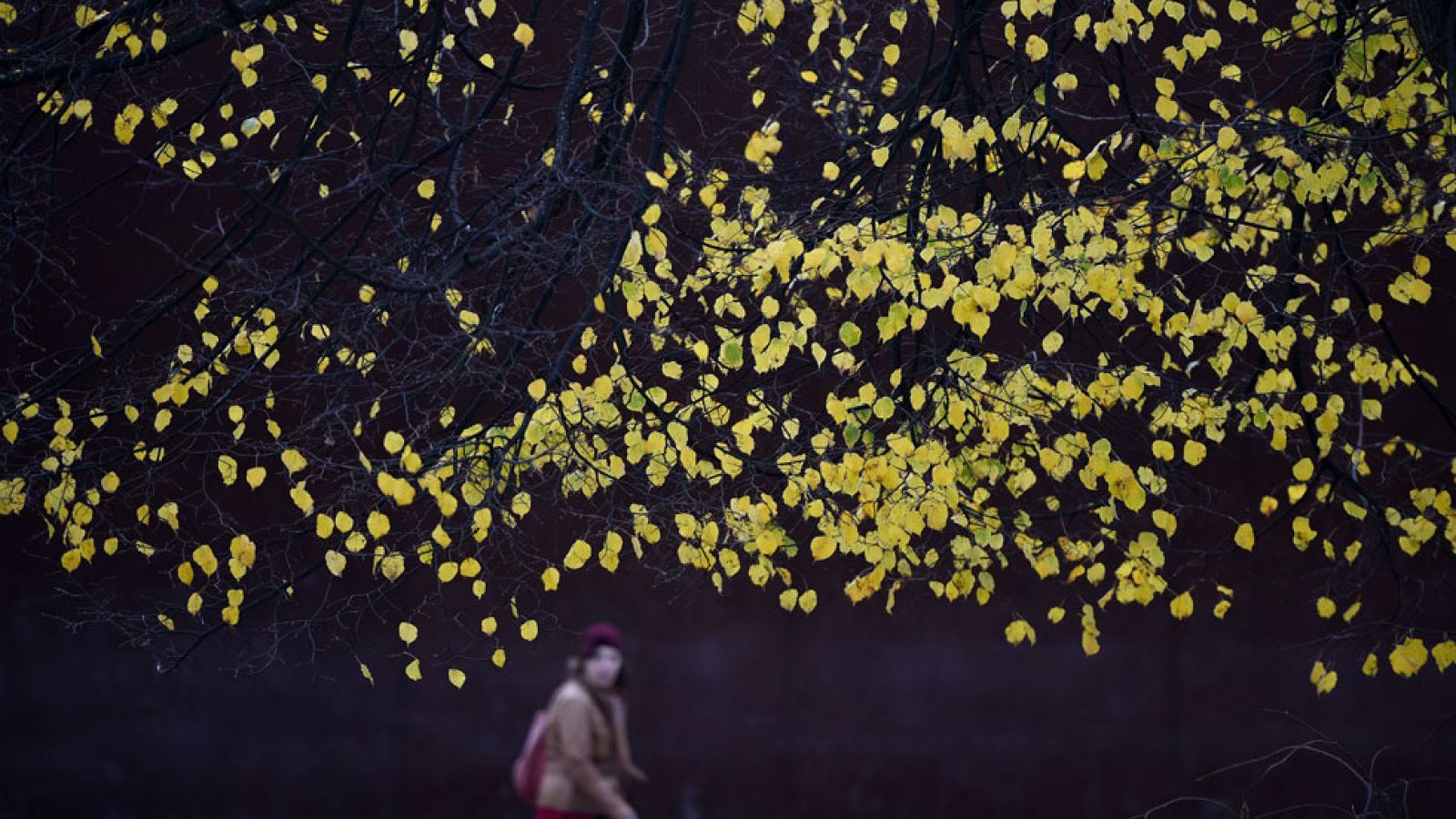 El tiempo en la Comunidad de Madrid - 23/12/14