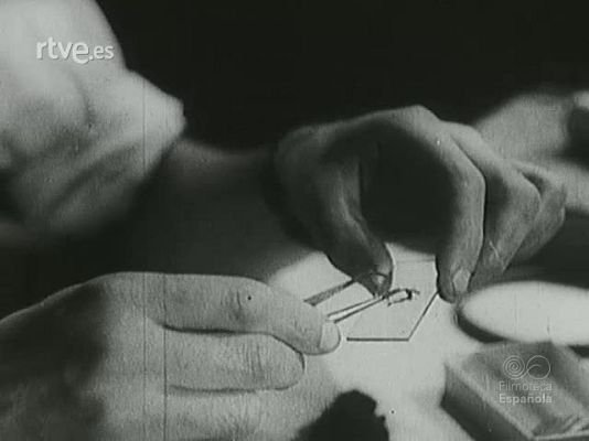 Archivo Histórico - ROTIFEROS