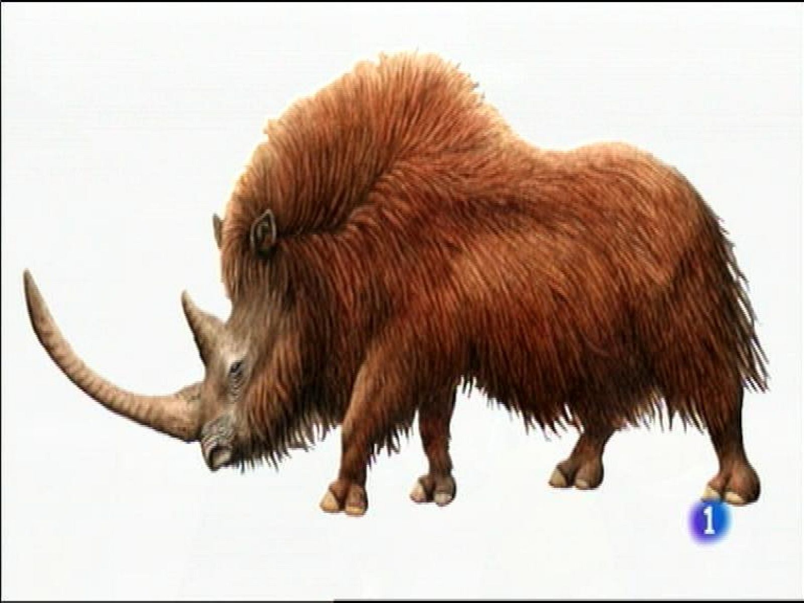 Panorama Regional 2 - 24/12/14 | Ver