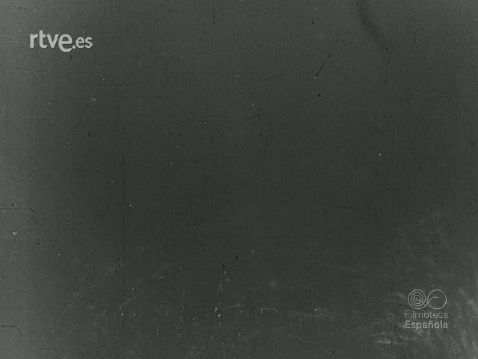 PROCESION DE LA VIRGEN DE LA PALOMA | Ver